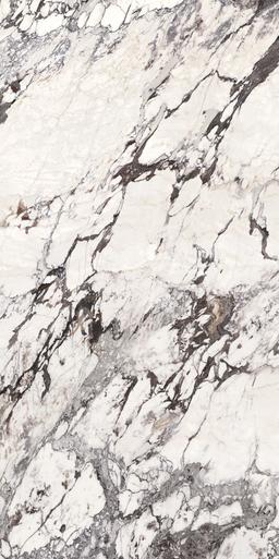Calacatta Aries - k1iedso66cu6yzckvajx@2x.jpg
