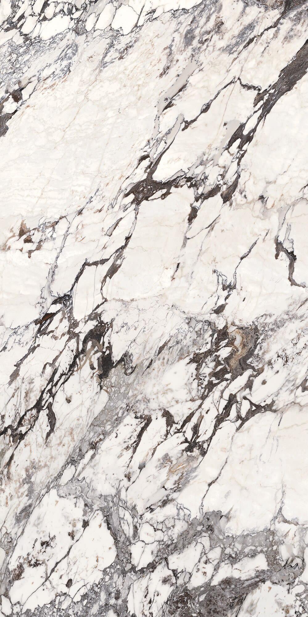 Calacatta Aries - k1iedso66cu6yzckvajx@2x.jpg