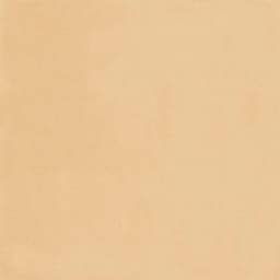 PIGMENTS HONEY (Make to order) - k3w2m0xgbuknpqapgiqj@2x.jpg