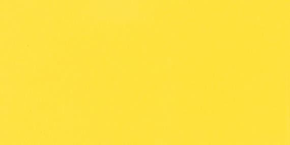 Color Wheel Classic Sunflower Rectangle 3X6 Glossy - kaxgcmvj5jqnhrobanys@2x.jpg