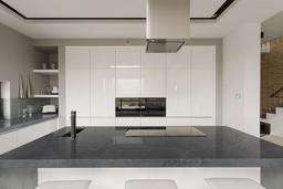 Platinum Black Quartzite - kcgceczzjakmntrs9h2q@2x.jpg
