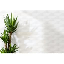 EXPRESS GLARE WHITE 3X12 - kcowe558a7pbd5ube5tj@2x.jpg