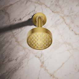 Awaken 1.5 GPM Single Function Shower Head - kems1gkiau51fgqybxyg@2x.jpg