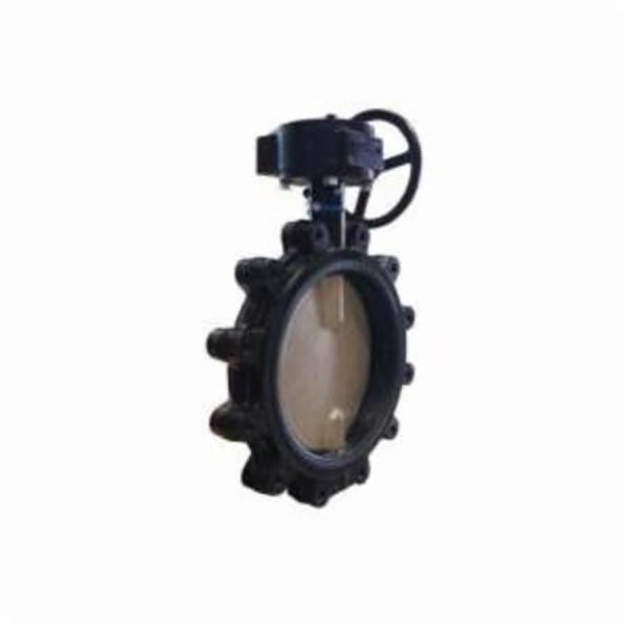 Lug Style Butterfly Valve, Gear Operator, 5 in, Flange, Ductile Iron - kieykhssxdpklev5vrou@2x.jpg