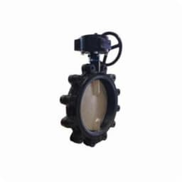 Lug Style Butterfly Valve, Gear Operator, 5 in, Flange, Ductile Iron - kieykhssxdpklev5vrou@2x.jpg