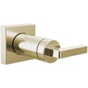 Frank Lloyd Wright Sensori Volume Control Trim with Lever Handle - Less Rough-In - kirqdwvblfgbmxucksjx@2x.jpg