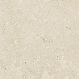 Timeless Ivory - kits5xp39cf89jslaidj@2x.jpg
