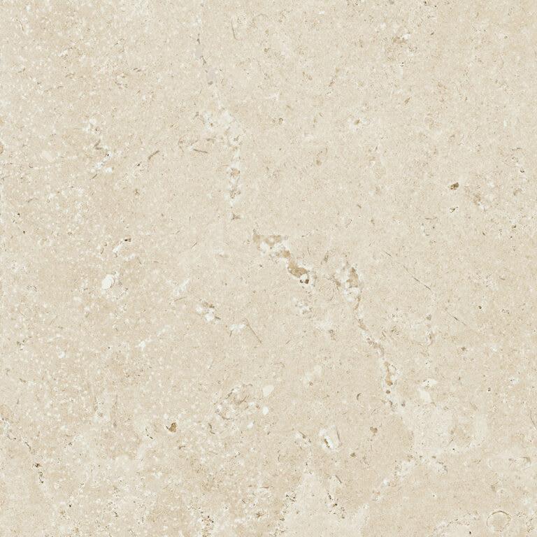 Timeless Ivory