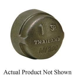 Cap, 1/2 in, FNPT, 300 lb, Malleable Iron, Black - kjcxoyhd7ztl8ln72r02@2x.jpg