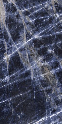 SAPPHIRE STATUS - knw9xf5zyquch5ohhf0q@2x.jpg