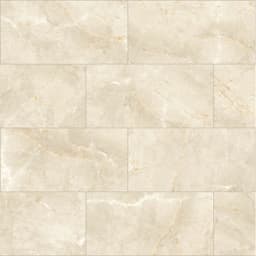 SAVINO CLAIR PL 12X24 - kq2iplaruf6pti5uouhi@2x.jpg