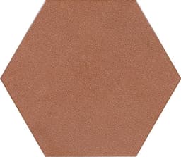 Inyo Ember Hexagon 8X8 Satin - kqkeeyx4eox9jtdlagju@2x.jpg