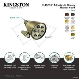 Multi Function Shower Head, 2-5/16 in Dia, 1.8 gpm, Polished Chrome - kqwzuzwyxm9t9r4xa5wf@2x.jpg