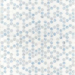 Azula Hexagon Mosaic Tile - krnbd4vhpjb2g4umhvb8@2x.jpg