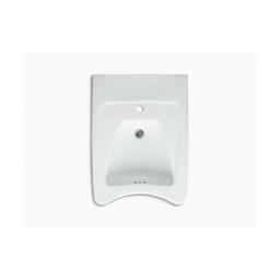 Morningside™ Wall Mount Lavatory Sink, ADA, 20 x 21-1/2 x 8-1/8 in, Vitreous China, White - ksa3srusn5dxe8hs1bdh@2x.jpg