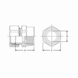 Union, 1/4 x 1/8 in, Comp x FNPT, Brass, Rough Brass, Domestic - ku4xqn4kmocmvpgchrtr@2x.jpg