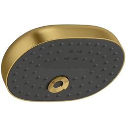 Statement 2.5 GPM Multi Function Shower Head with MasterClean Sprayface and Katalyst Air Induction Technology - kvrgxtignvatkvdkbxzr@2x.jpg