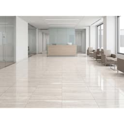 DYNAMIX SERAFINO PE PL 12X24 Limited Availability - kvt0f1vdfqhrkfv1mucr@2x.jpg