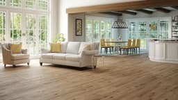 Water Oak - kwywh3ejbd1unfifmwzs@2x.jpg