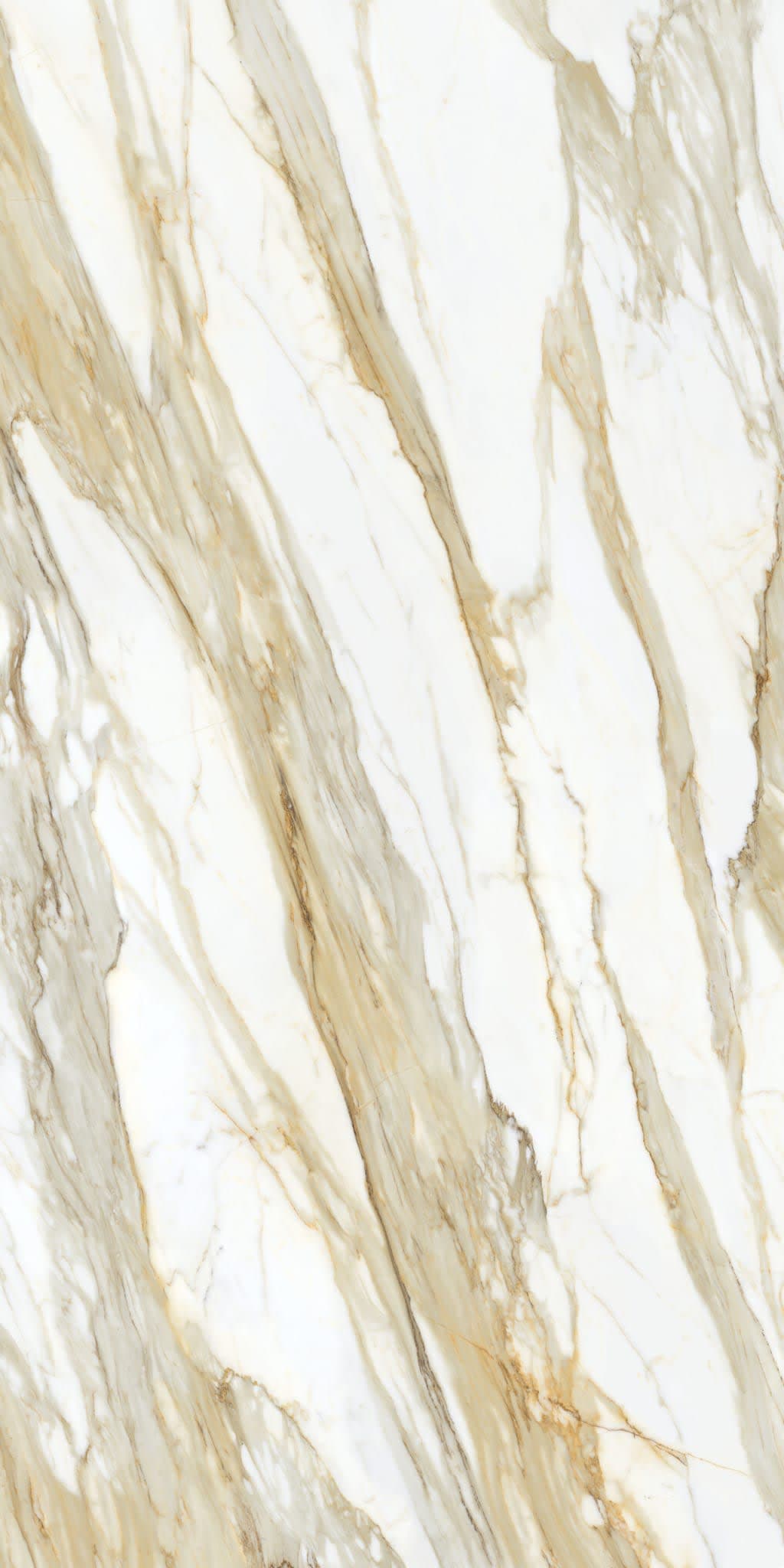 Golden Angelite - kxxlx8trvnb23om95o3x@2x.jpg