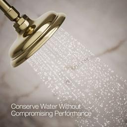 Artifacts 1.75 GPM Single Function Shower Head with MasterClean Sprayface and Katalyst Air-Induction Technology - kyacunvzefqs9cumlvx7@2x.jpg