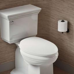 PureWarmth Elongated Toilet Seat and Lid with Soft Close, Quick Release, and Night Light - kykce2nrfzmr98cozw30@2x.jpg