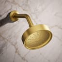 Purist 1.75 GPM Single Function Shower Head with MasterClean Sprayface and Katalyst Air-Induction Technology - kzk0qk59fabfkuh3ipgi@2x.jpg