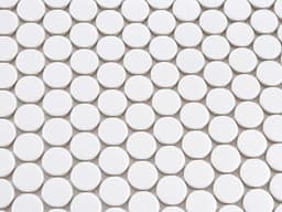 White Penny Round 19MM - kzsvvvt22lgv6g4eyolj@2x.jpg