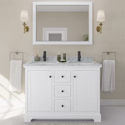 Avery Double Bathroom Vanity - 48W x 35H x 22D - l2dmukmsos4ypdmg2s6z@2x.jpg