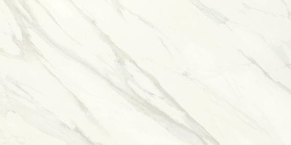 Carrara Carrara Rectangle 24X48 Polished - l2dnjnwwficevhia08um@2x.jpg