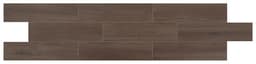 Edgewood Graphite Plank 6X24 Matte - l2jawg4renybsaegcw32@2x.jpg