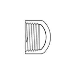 Cap, 1/2 in, FNPT, SCH 80/XH, PVC - l3dvbawqmigqyrgvhi04@2x.jpg