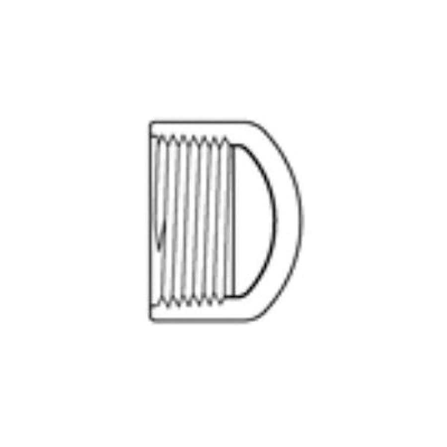 Cap, 1/2 in, FNPT, SCH 80/XH, PVC - l3dvbawqmigqyrgvhi04@2x.jpg