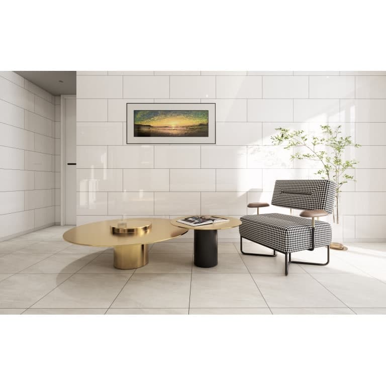 CHOICE WHITE GL 12X24 - l470r75zen8wc5wpgily@2x.jpg
