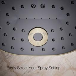 Statement 2.5 GPM Multi Function Shower Head with MasterClean Sprayface and Katalyst Air Induction Technology - l4rzanvvsa528z84hnvb@2x.jpg