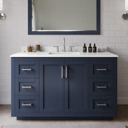 Miranda Single Bathroom Vanity - 54W x 33.75H x 22D - l77elzkoj6yuv2nydtg5@2x.jpg