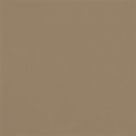 Color Wheel Classic Elemental Tan Rectangle 3X6 Glossy - l907eiqj2immciyrmvfl@2x.jpg
