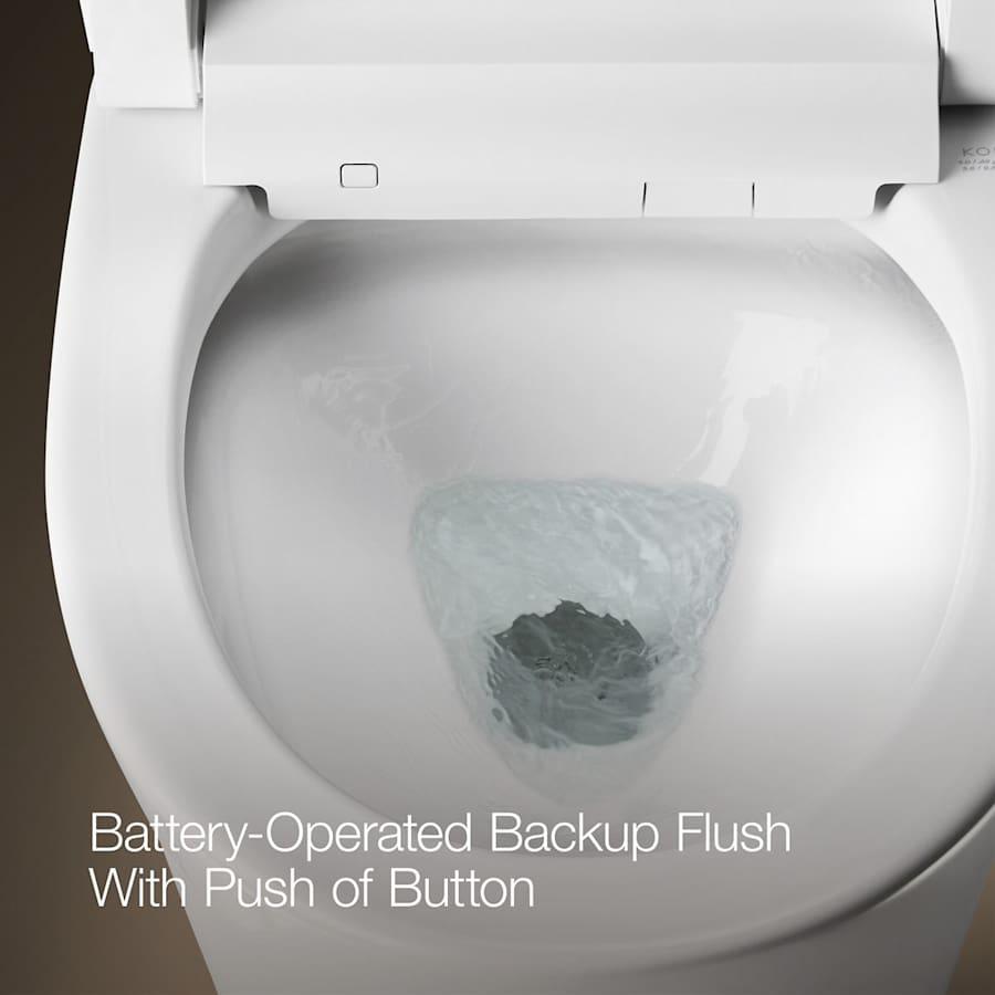 Veil Dual Flush One Piece Elongated Chair Height Intelligent Toilet - Seat Included with Quiet Close Lid - l9iom7uqdganapldeikb@2x.jpg