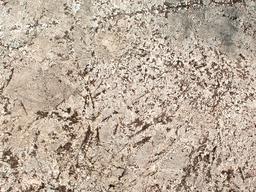 Bianco Antico Granite - lakc8d8jja49cpkcakhc@2x.jpg