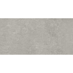 PERENNE GRAY R11 2CM 24X47 - latmnzq2or0xnz0xu8lb@2x.jpg