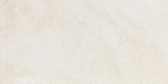 Haddonstone Peony Rectangle, Ridge 12X24 Textured - lcspsfzsblsyvxia7bbp@2x.jpg