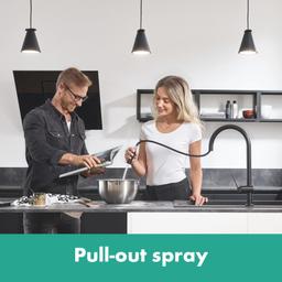 Talis N 1.75 GPM Single Hole Pull Down Kitchen Faucet - ldnabqzypoqmxtnme1zw@2x.jpg