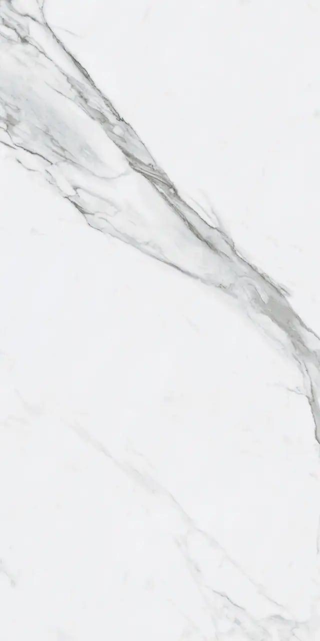 BIANCO VENATINO PO 24X48 R