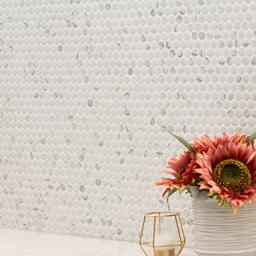 Carrara Matte Penny Round - lejc2mfjjxsmg9szfbvw@2x.jpg