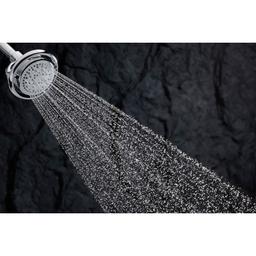 Flipside Multi-Function Hand Shower with Flipstream Technology - lfdrlpfpegdt1jgwjj3f@2x.jpg