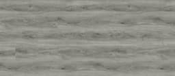 Monterey Cypress - lg1qlnhqbsnua91se4z8@2x.jpg