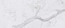 Calacatta Bolina - ljitnsicmm0z9bkky343@2x.jpg