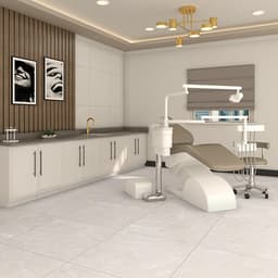 Vanserra Platinum Square 33X33 Polished - ljjug8wpwcponca9nwmh@2x.jpg