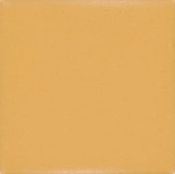 Keystones Mustard Hexagon 1X1 Matte - ljznzu5exfjrokwwfnyu@2x.jpg