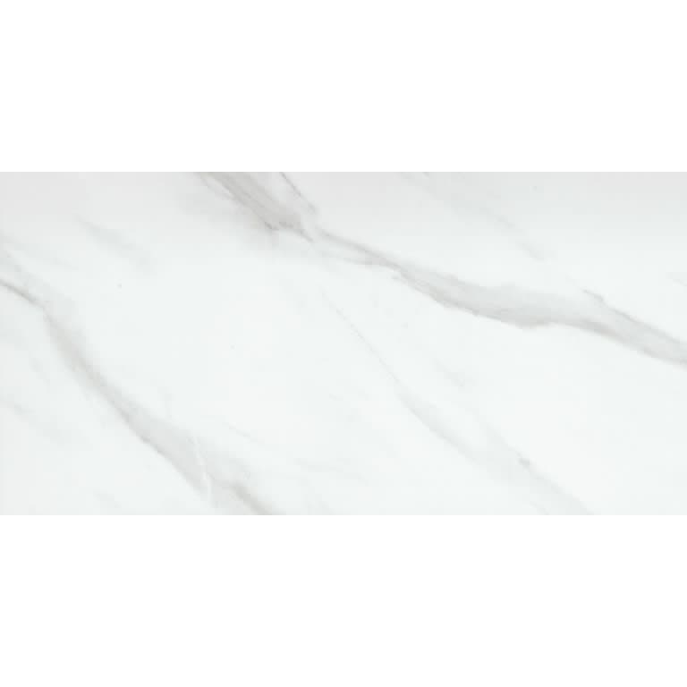 NOBLEZA ASTORGA PL 12X24 - lkbliovhs6qiqvtunhnk@2x.jpg